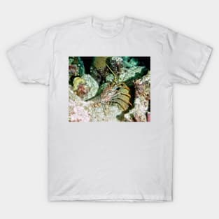 Caribbean Spotted Lobster on Night Dive T-Shirt